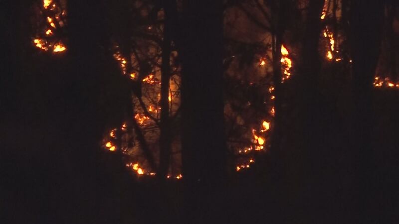 Alabama Forestry Commission lifts ‘no burn’ order in 33 counties