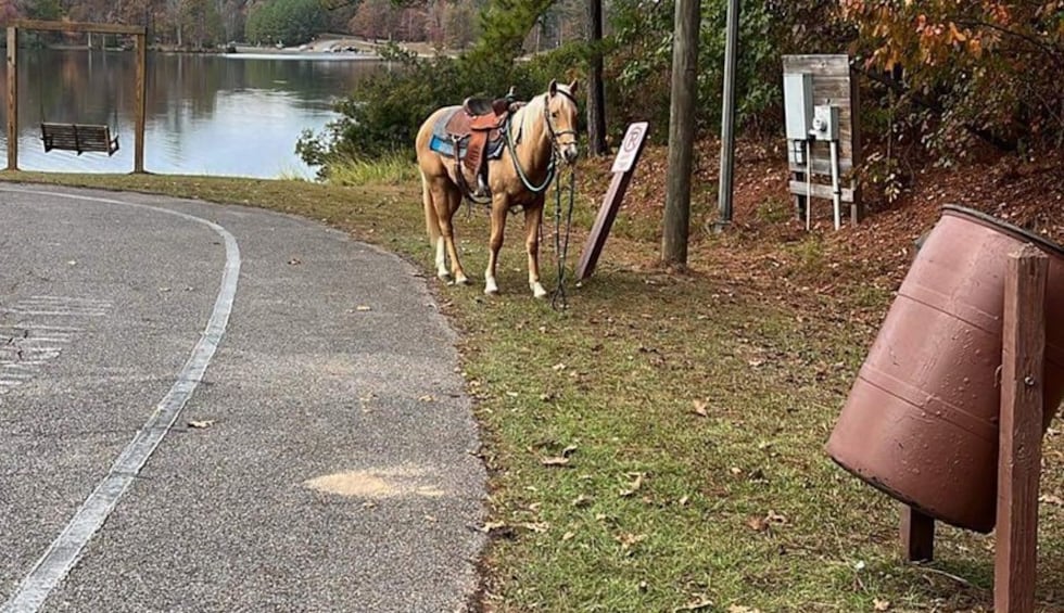 Kathy Rickles' horse, Ginger, went missing at Bonita Lakes but was found Friday.