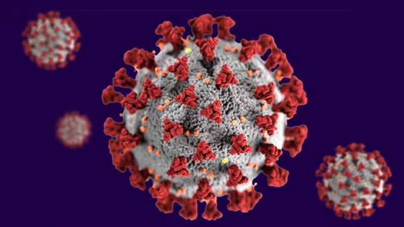The Mississippi State Department of Health reported 194 new COVID-19 cases, 1 new death and 15...